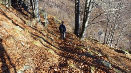Tratto di mulattiera tra Trione e Beirasso