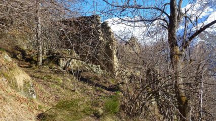 Trione