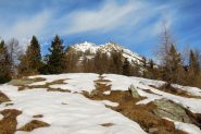 Pioda di crana