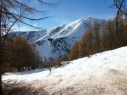 Nel lariceto sopra Neraissa