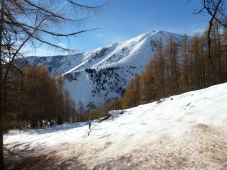 Nel lariceto sopra Neraissa