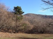 in vista della punta