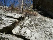 Cordino sul passaggio chiave nella placca poco sotto la cima