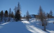 Farina 00