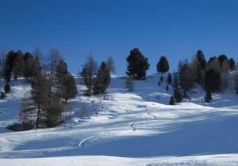 Quasi al colle