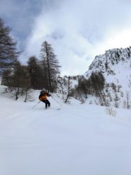 Inizia il bosco, cambia le neve....