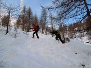 salita nel bosco
