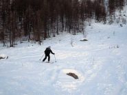 nel bosco sopra arp de bois