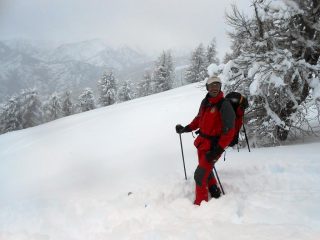 Il sorriso di un amico