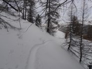 03 - si sentono assestamenti anche passando nel bosco