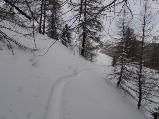 03 - si sentono assestamenti anche passando nel bosco