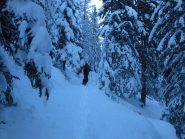Seguendo (e tracciando!) l'itinerario per ciaspole verso Colle San Carlo