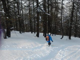 divertimento nel bosco