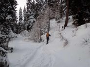 scorciatoia nel bosco