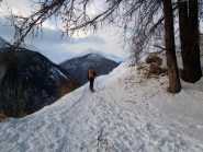 inizio del sentiero alla partenza