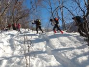 una scorciatoia nel bosco