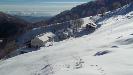 Alpe Sacchi