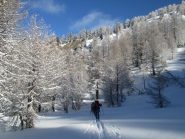 bosco fantastico