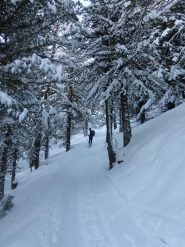 la parte nel bosco sopra il Romperein