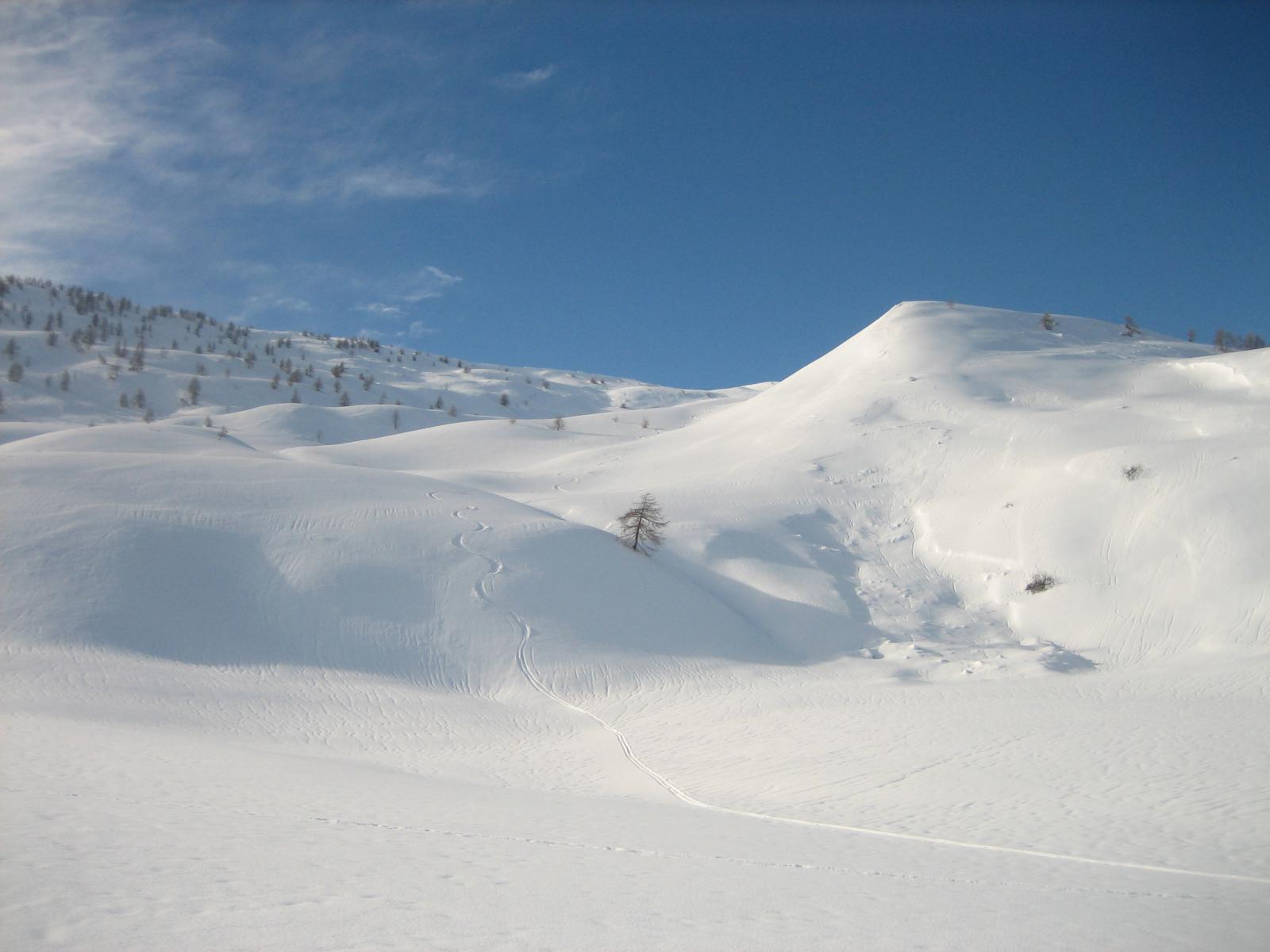 Dalla Malga Panizzi verso il rifugio