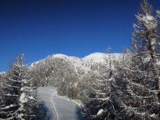 Gabun a sinistra, Trubbio a destra