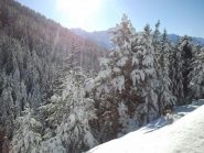 giornata meravigliosa ...