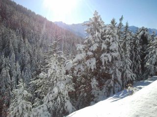 giornata meravigliosa ...