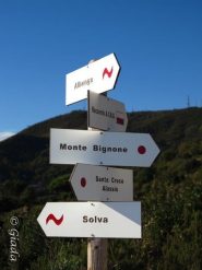 Palina alla sella del Bignone