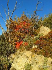 Colori per salire al Bignone
