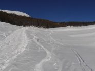 11 - Pendio di metà appena usciti dal bosco