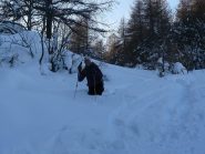 tanta ..ma TANTA neve!