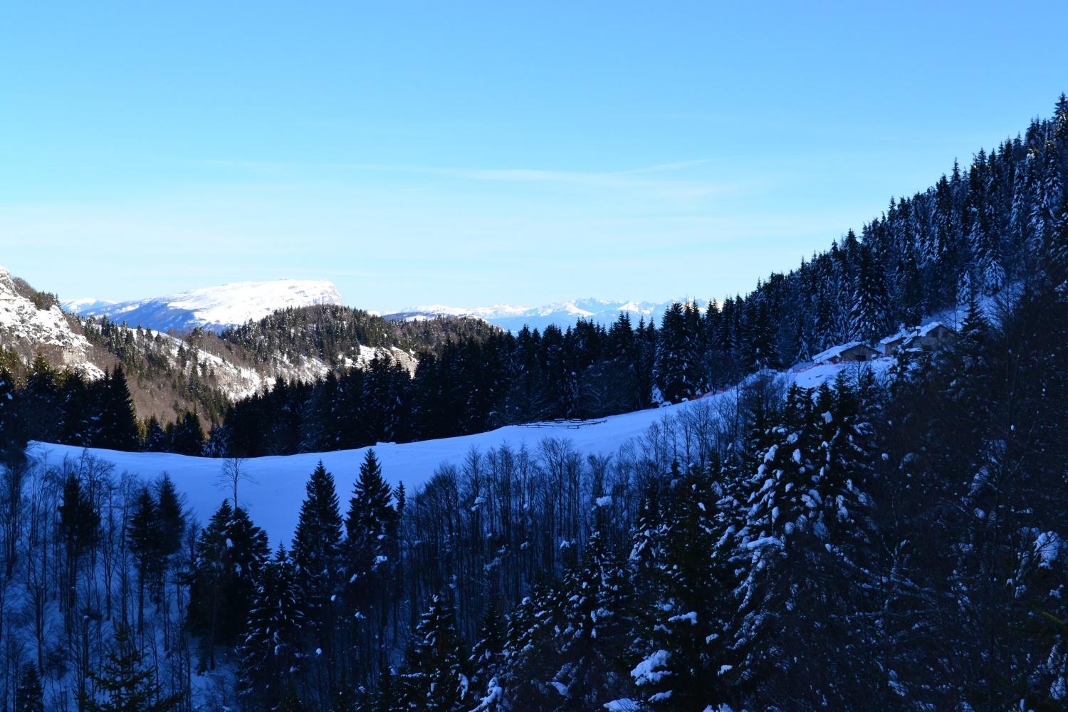 panorama da quota 1600 m: sulla destra la Malga di Tenno