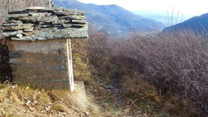 piu' che naturalistico è animalistico