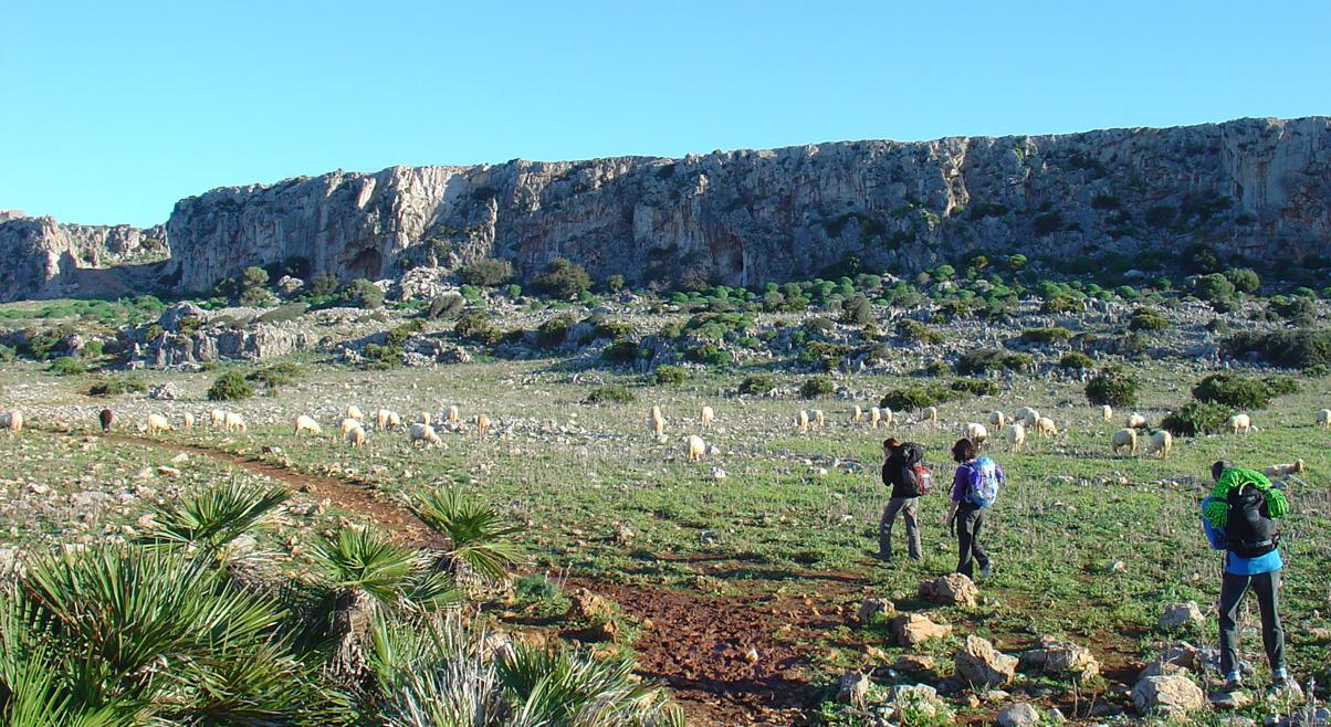 fauna locale davanti alle falesie