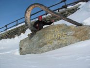 arrivato all'alpe