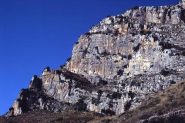 La Falesia: il settore descritto è la fascia centrale snella parte dx dove presenta una macchia gialla di roccia