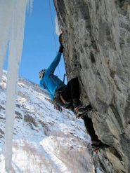 Il Fanfa su l'analfabeta