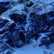 Doccia Fredda/Favola di Alice