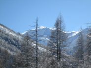 un po' di vento sulle cime...