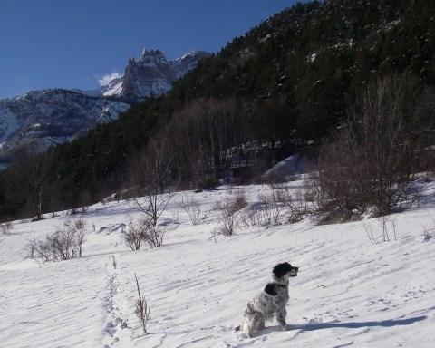 Tenailles sopra il pianoro di Piolier