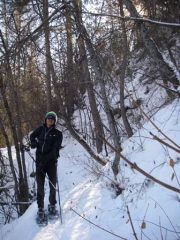 sentiero nel bosco poco prima dell'alpe Sachas
