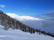 Sopra tutto il bianco
