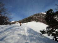 Alpe Gora