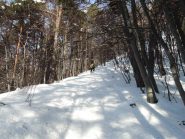 Bosco tra Braghì e Gora