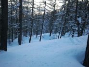 solo POWDER