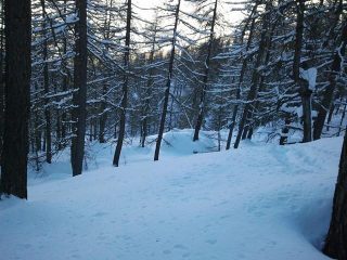solo POWDER