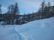 in salita