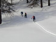 Terreno ideale 