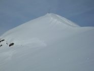 quasi in cima