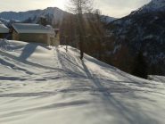 Tracce nel bosco